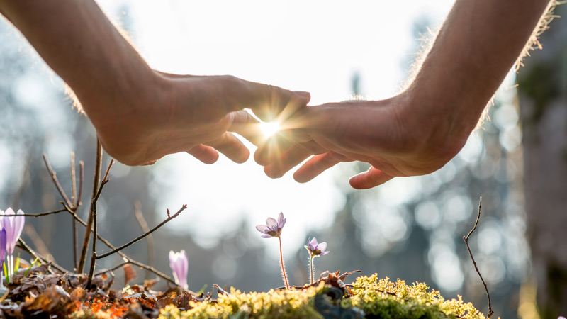 healing / energising hands in nature
